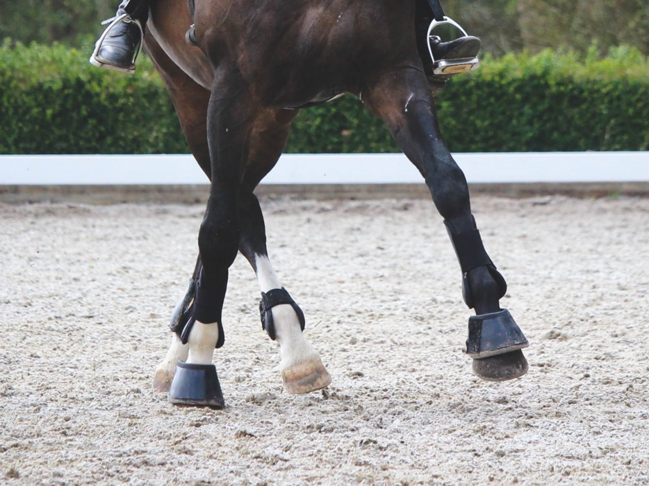 Veyko paardenbenen